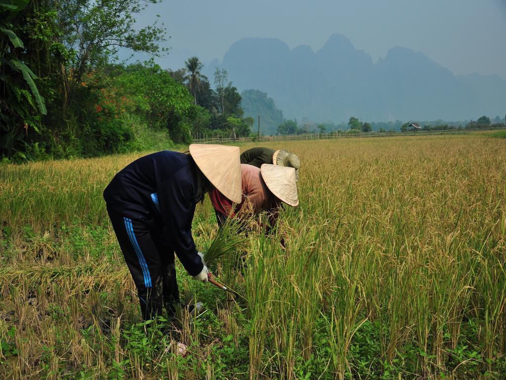 Viengtara Vangvieng Resort Vang Vieng Luaran gambar